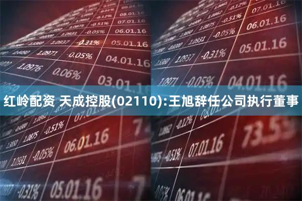 红岭配资 天成控股(02110):王旭辞任公司执行董事